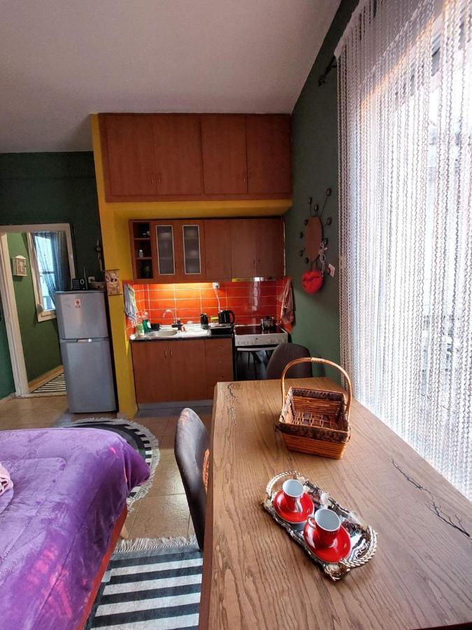 Φιλοξενία1 Apartment Drama Bagian luar foto